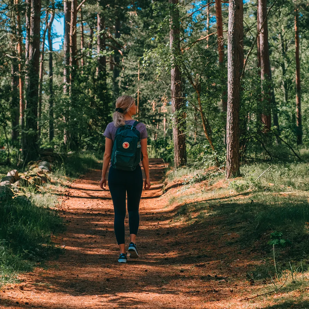 vandra-i-rallaskogen
